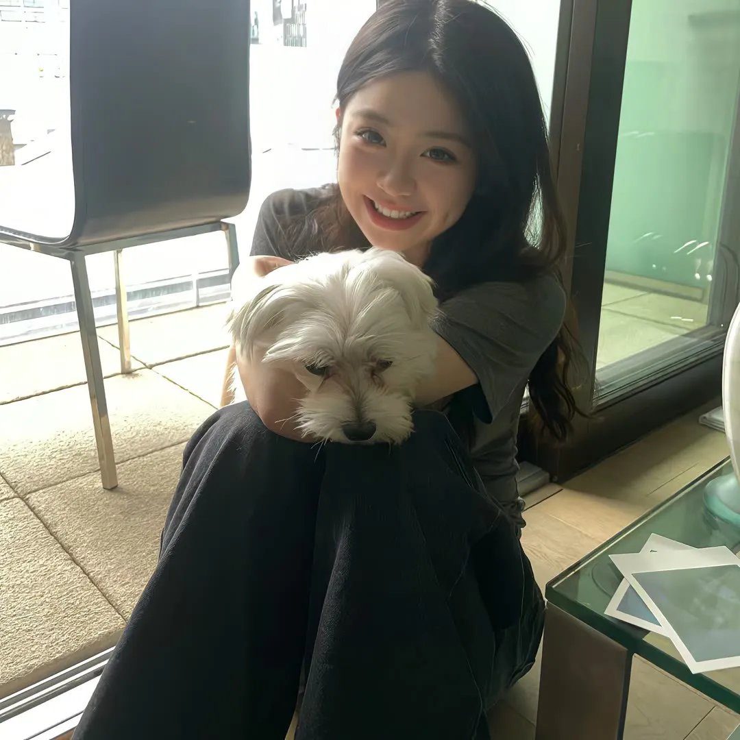 幼狮王朝